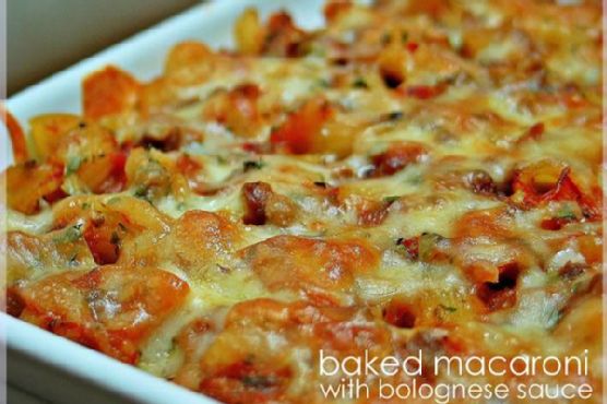 Baked Macaroni With Bolognese Sauce