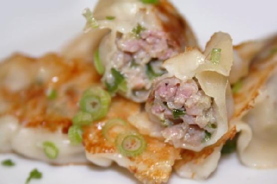 Pan Fried Pork and Chive Potstickers