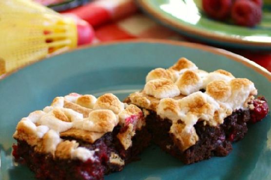 S'mores-n-berry Bars for National S'mores Day - August 10